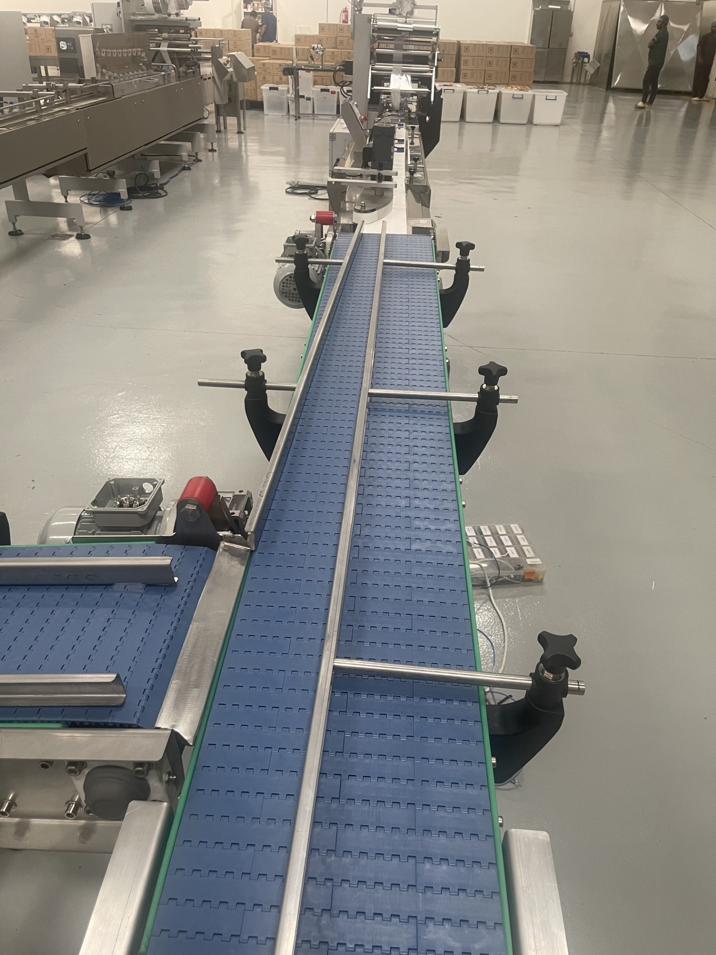 Conveyor for Biscuit Packaging