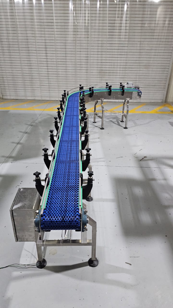 Modular Flex Carton Conveyor