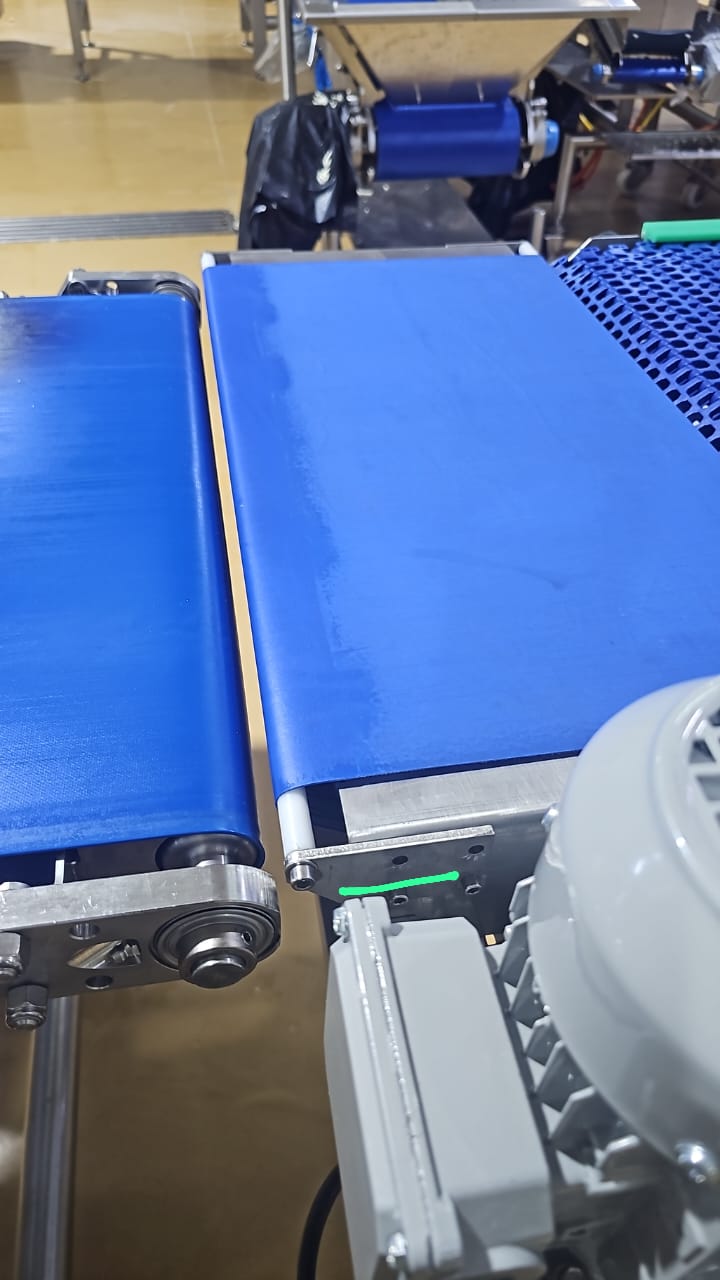 Small Nose Transfer Conveyor